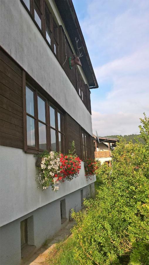 Apartmán na Polesí Destne v Orlickych horach Exteriér fotografie